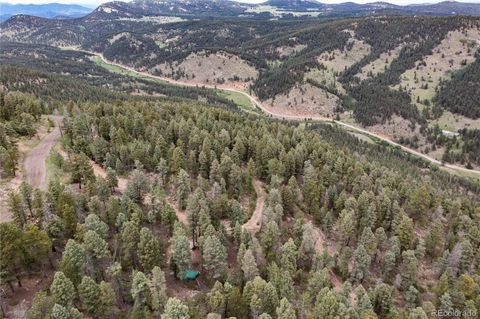 Unimproved Land in Conifer CO 12888 Piano Meadows Drive 8.jpg