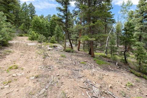 Unimproved Land in Conifer CO 12888 Piano Meadows Drive 27.jpg