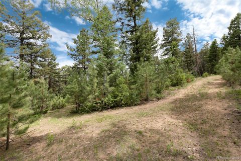 Unimproved Land in Conifer CO 12888 Piano Meadows Drive 22.jpg