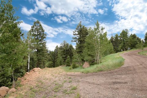 Unimproved Land in Conifer CO 12888 Piano Meadows Drive 16.jpg