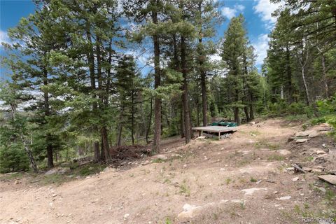 Unimproved Land in Conifer CO 12888 Piano Meadows Drive 20.jpg