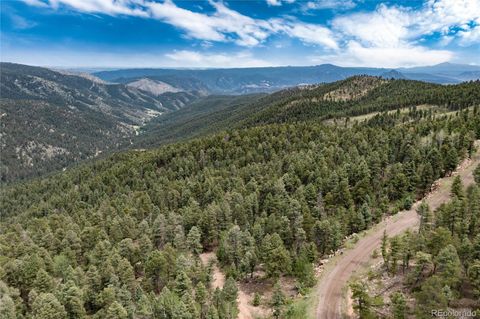 Unimproved Land in Conifer CO 12888 Piano Meadows Drive 6.jpg