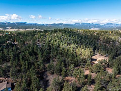 205 Stonehenge Drive Florissant CO 80816