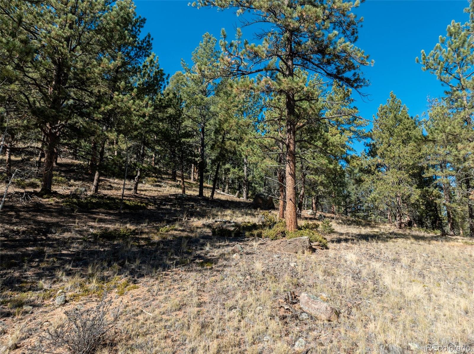 205 Stonehenge Drive