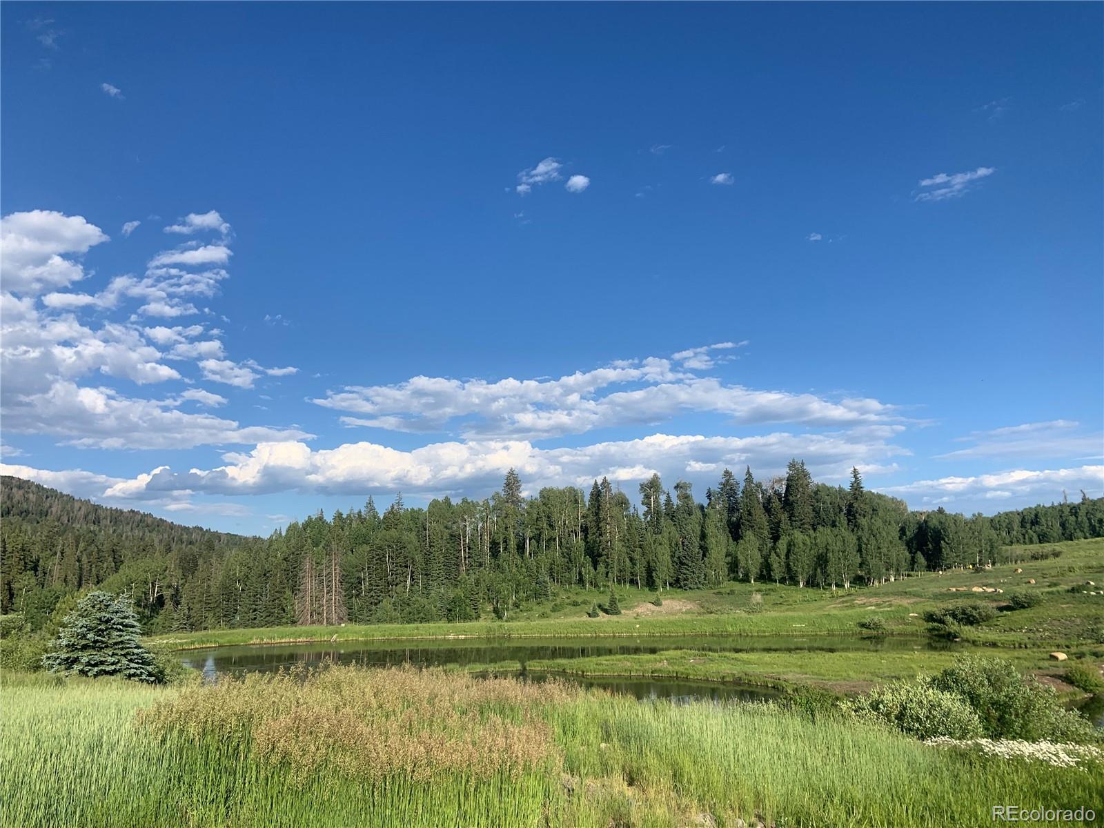 205 Lost Valley Drive