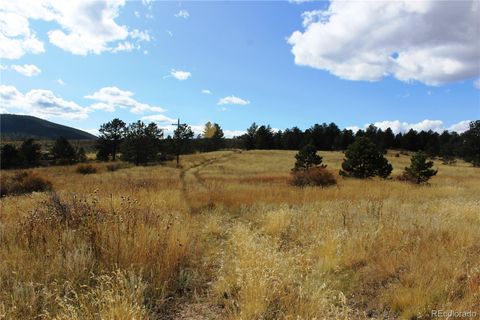 Unimproved Land in Black Hawk CO 520 Lake Gulch Road 11.jpg