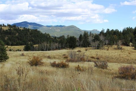 Unimproved Land in Black Hawk CO 520 Lake Gulch Road 9.jpg