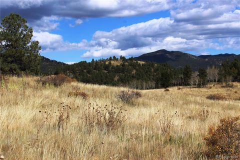 Unimproved Land in Black Hawk CO 520 Lake Gulch Road 4.jpg