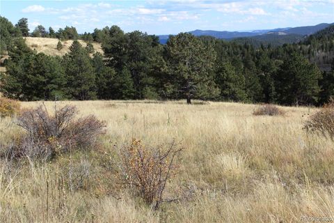 Unimproved Land in Black Hawk CO 520 Lake Gulch Road 6.jpg