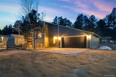 1011 W South Avenue Woodland Park CO 80863