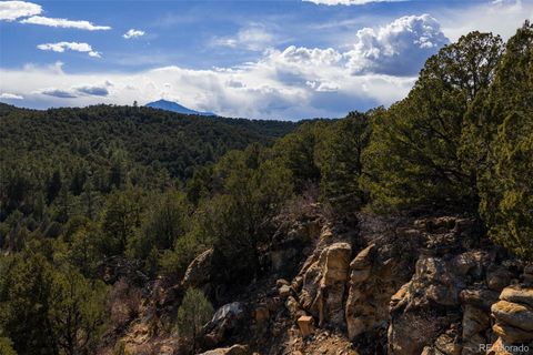 84 North Mountain Walsenburg CO 81089