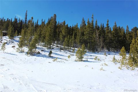 309 Aspen Idaho Springs CO 80453