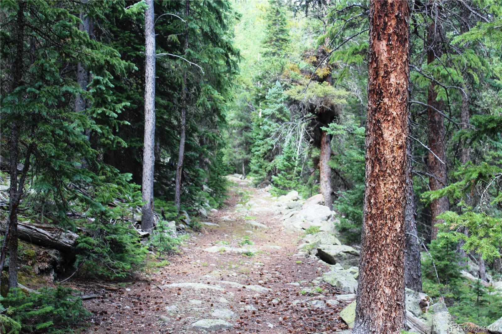 00 Hidden Wilderness Road