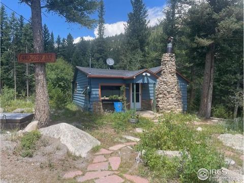 103 Peaceful Valley Road, Lyons, CO 80540 - #: IR993069