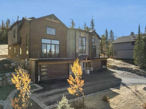 528 N Fuller Placer Breckenridge CO 80424