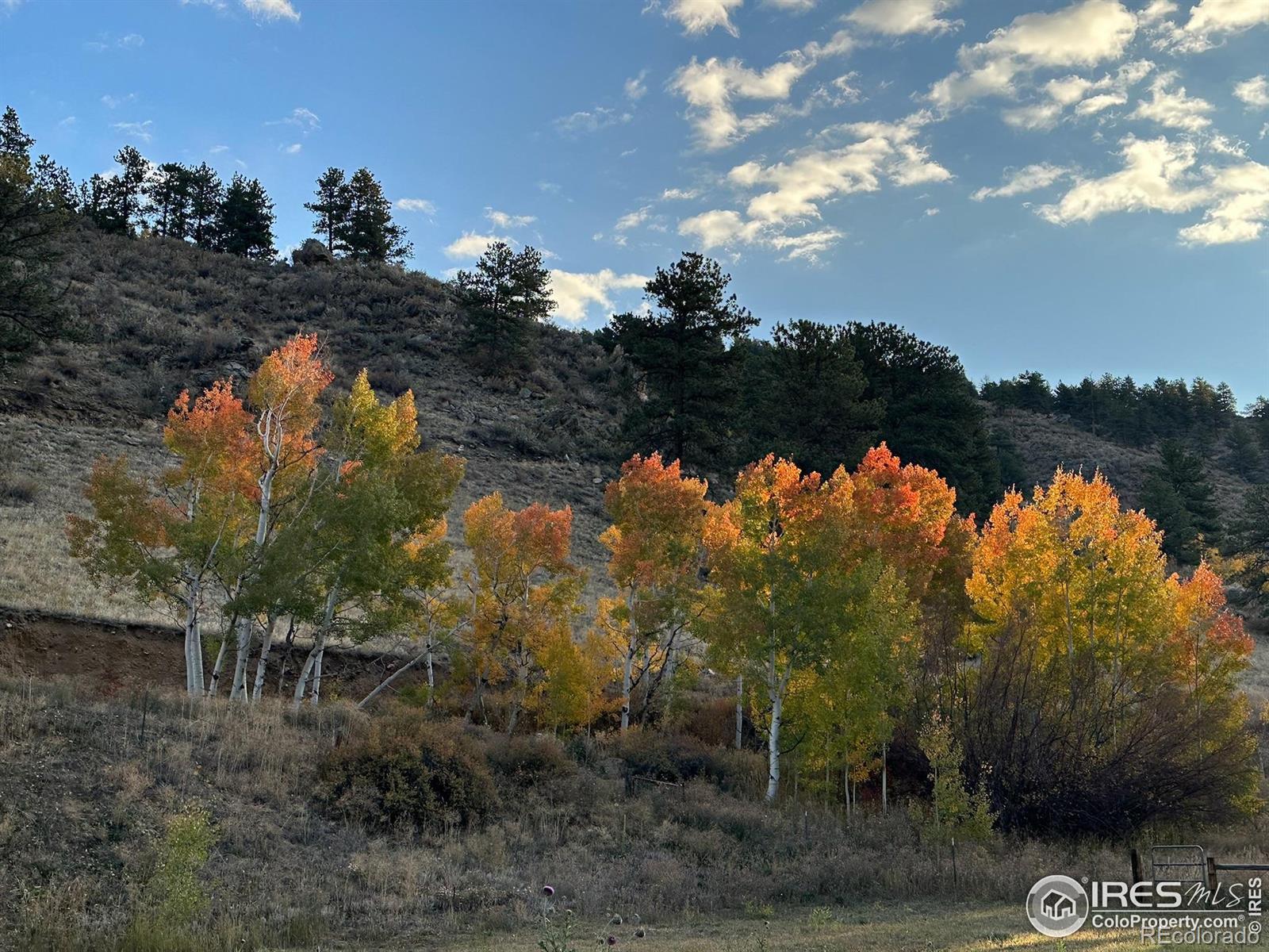50481 US Highway 285