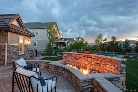 Single Family Residence in Highlands Ranch CO 10630 Star Thistle Court 1.jpg