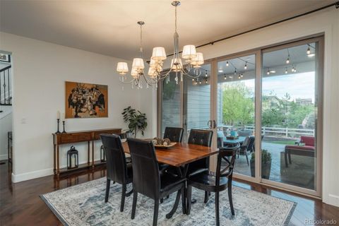 Single Family Residence in Highlands Ranch CO 10630 Star Thistle Court 5.jpg