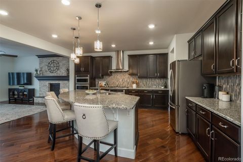 Single Family Residence in Highlands Ranch CO 10630 Star Thistle Court 7.jpg