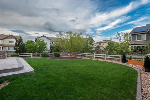 Single Family Residence in Highlands Ranch CO 10630 Star Thistle Court 39.jpg