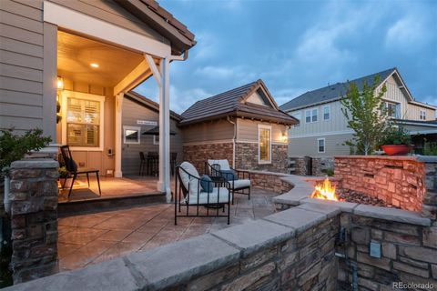 Single Family Residence in Highlands Ranch CO 10630 Star Thistle Court 46.jpg