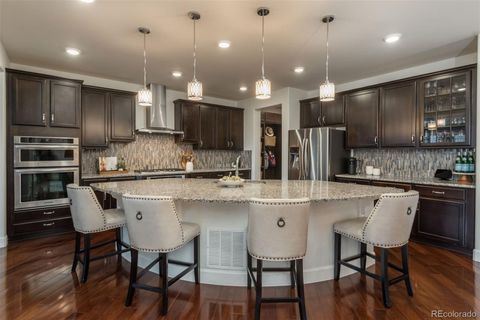 Single Family Residence in Highlands Ranch CO 10630 Star Thistle Court 3.jpg