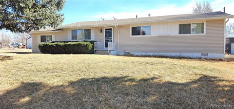 312 Loveland Avenue Flagler CO 80815