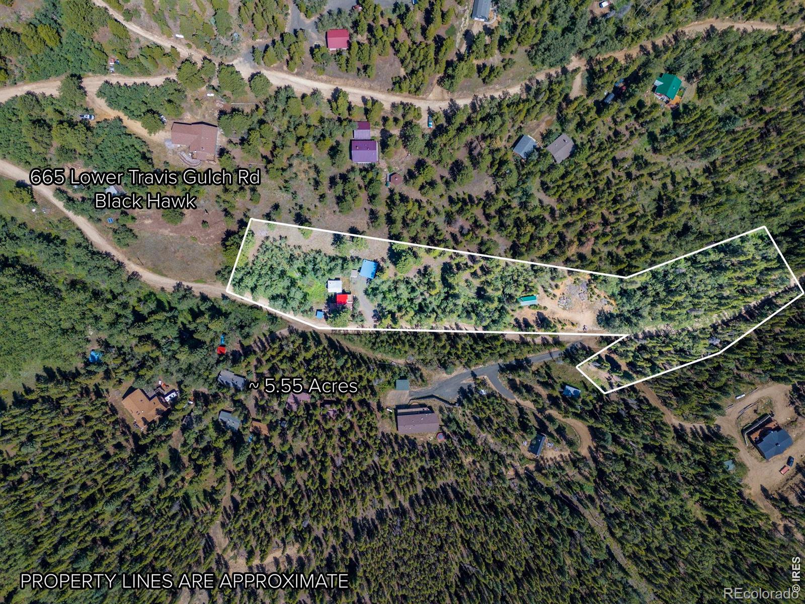 665 Lower Travis Gulch Road