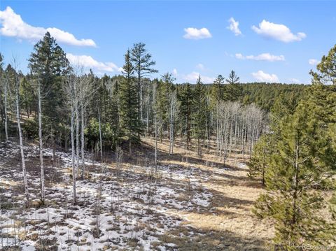Lot 20A Echo Lake Drive Lake George CO 80827