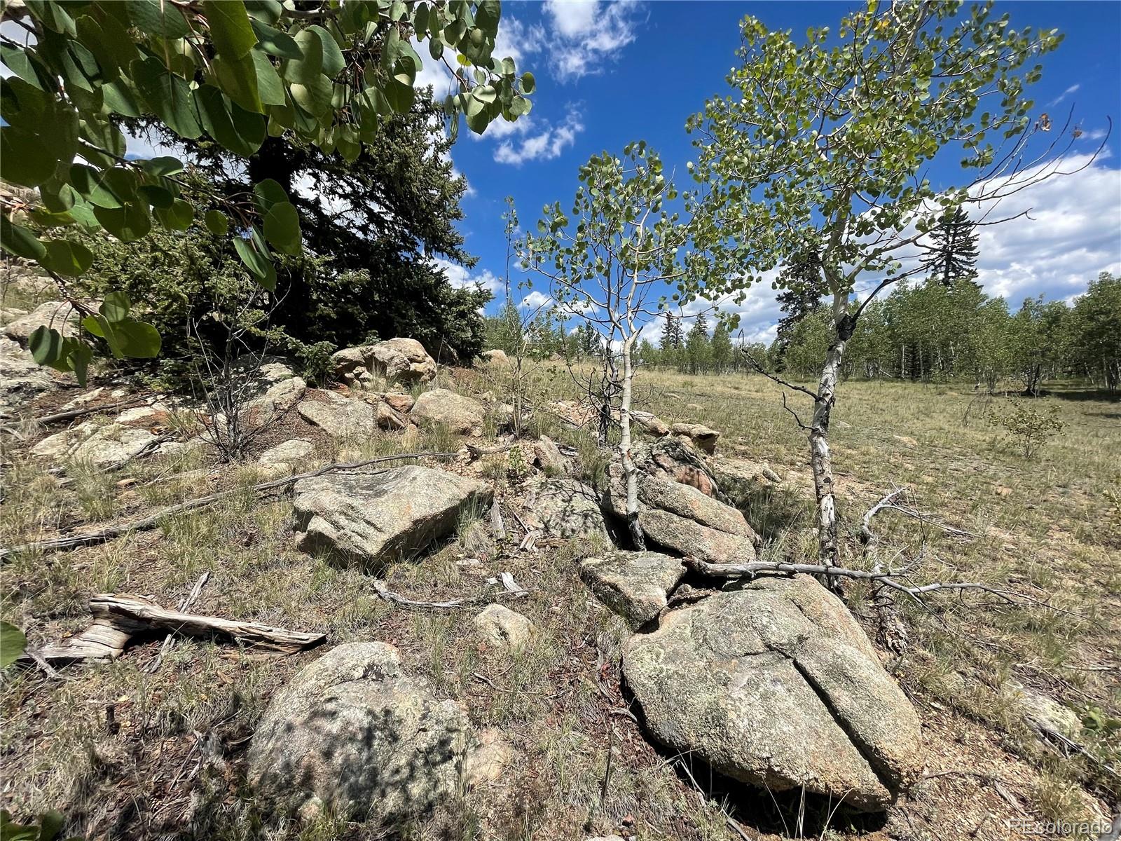 771 Teton Trail