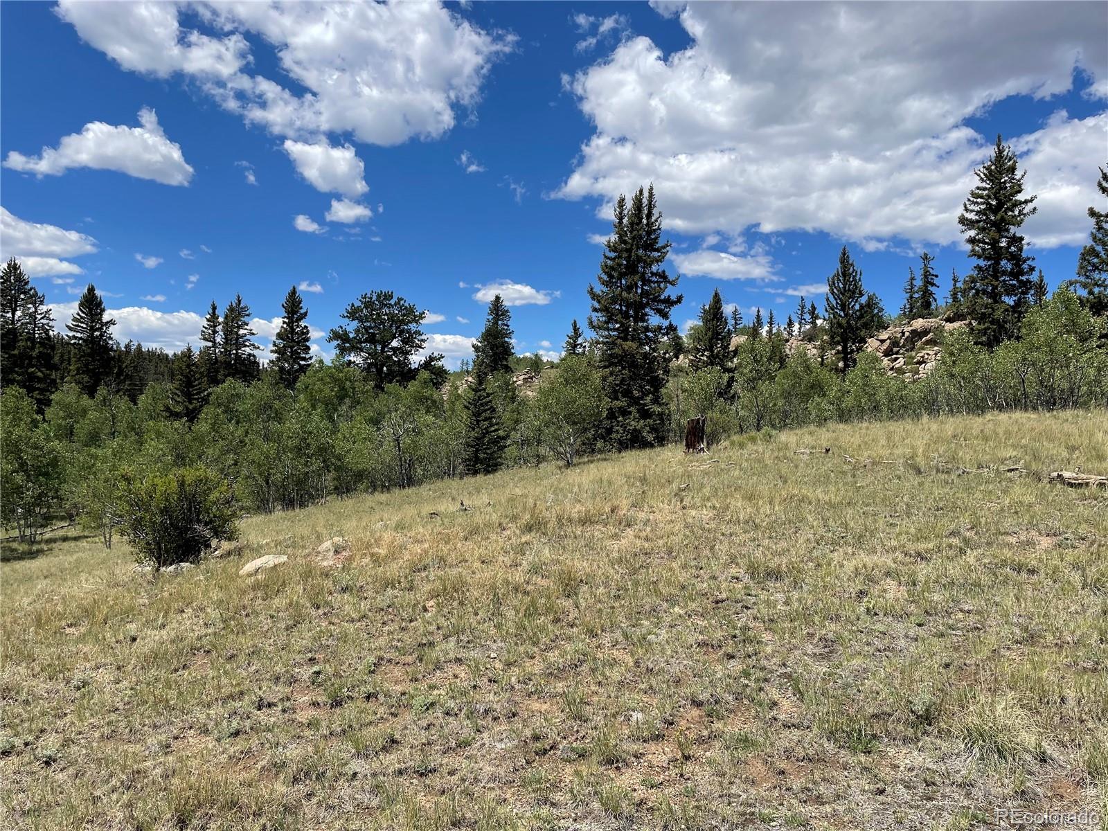771 Teton Trail