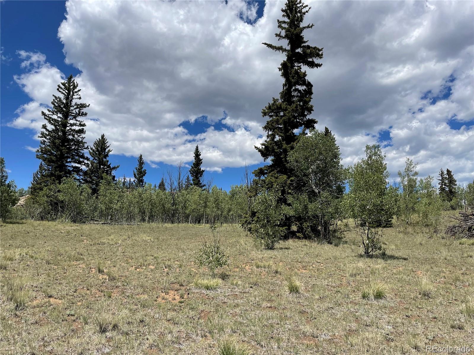 771 Teton Trail