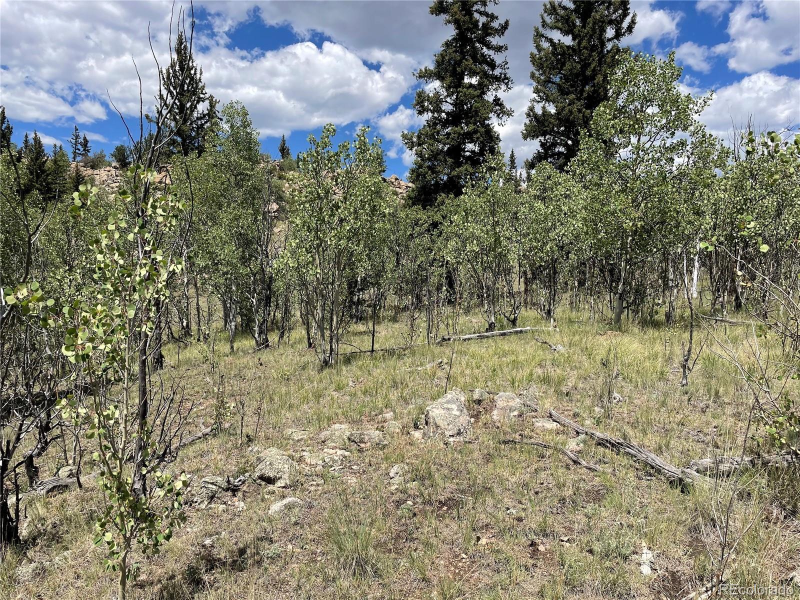 771 Teton Trail