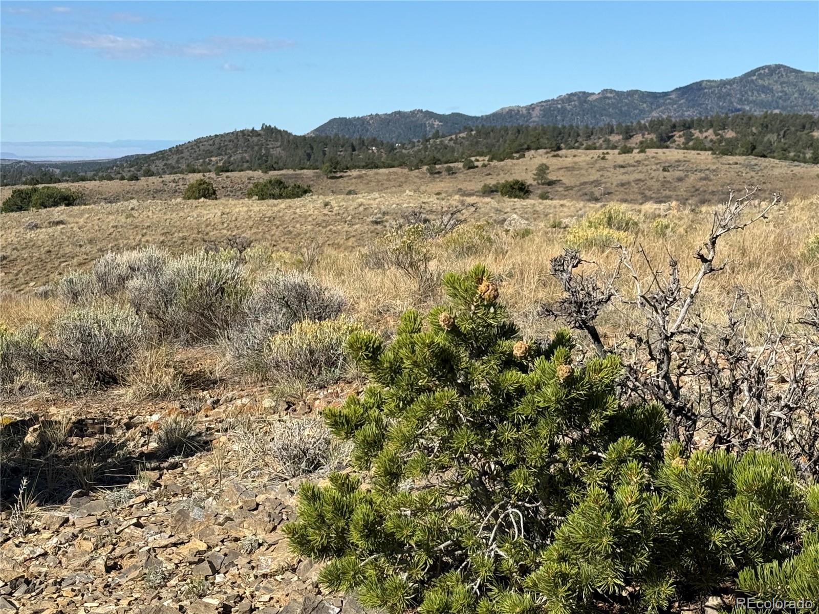 Lot 245 Boothby Lane