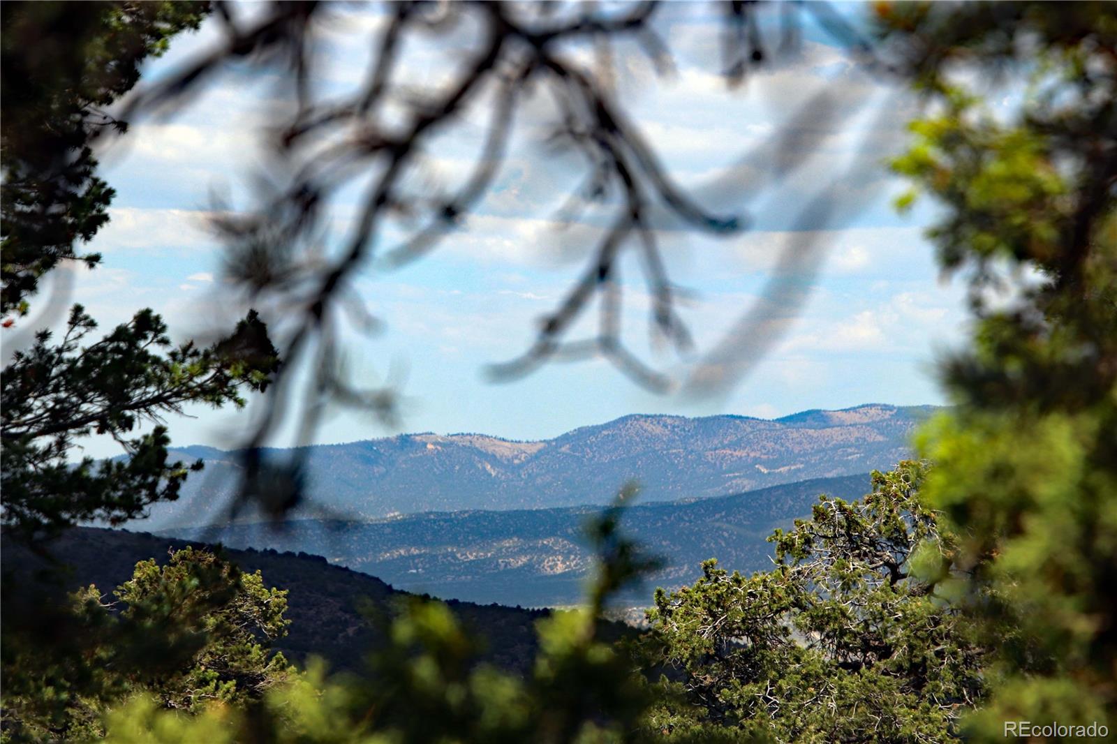 5 Mesa Vista Trail