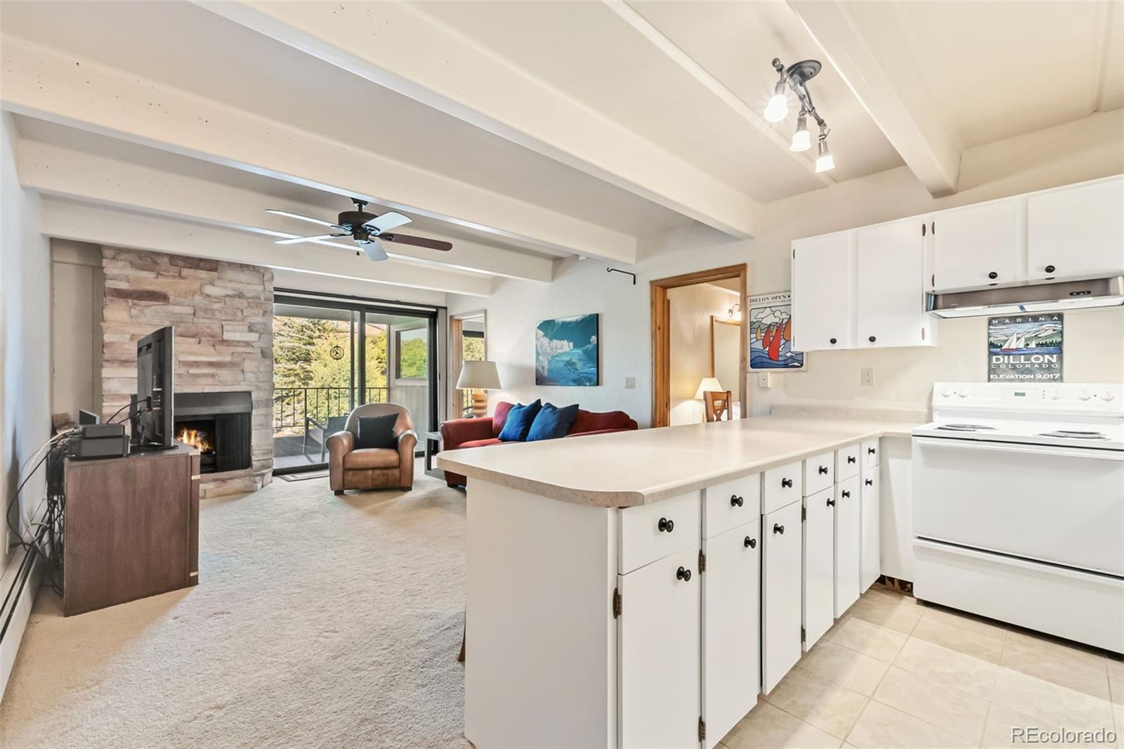 220 E La Bonte Street 306/308, Dillon, CO, 80435 2 220 E La Bonte Street 306/308