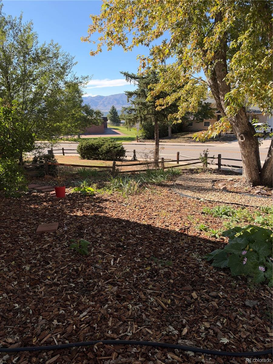 6135 Sapporo Drive, Colorado Springs, CO, 80918 2 6135 Sapporo Drive