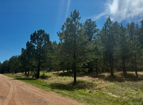 7707 Inca Road Larkspur Co 80118