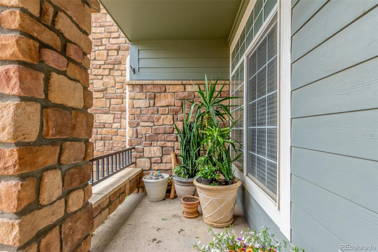 457 Black Feather Loop 702