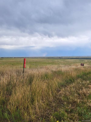 15385 COUNTY ROAD 166, KIOWA, CO 80117 - Image 0bcfa165df8a4f0ce6012bff33bd959a/2138073754
