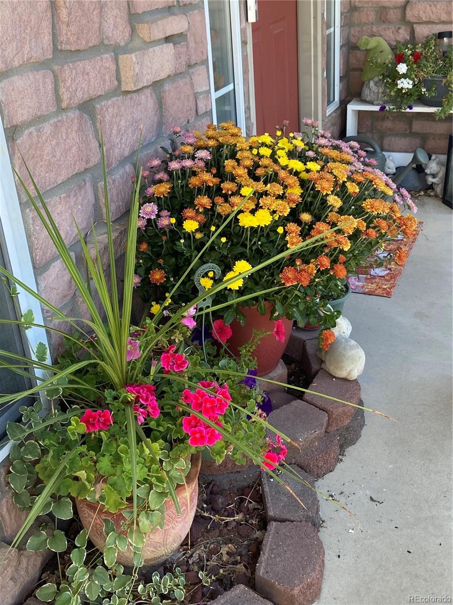 19121 E Hampden Drive