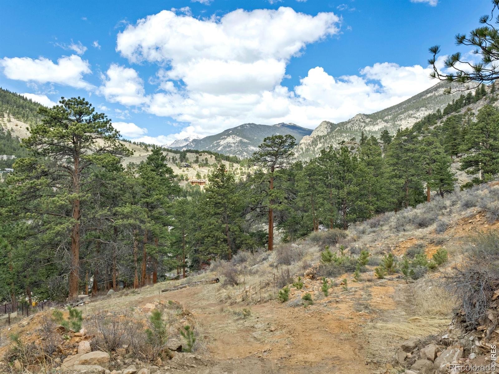 825 Castle Mountain Road