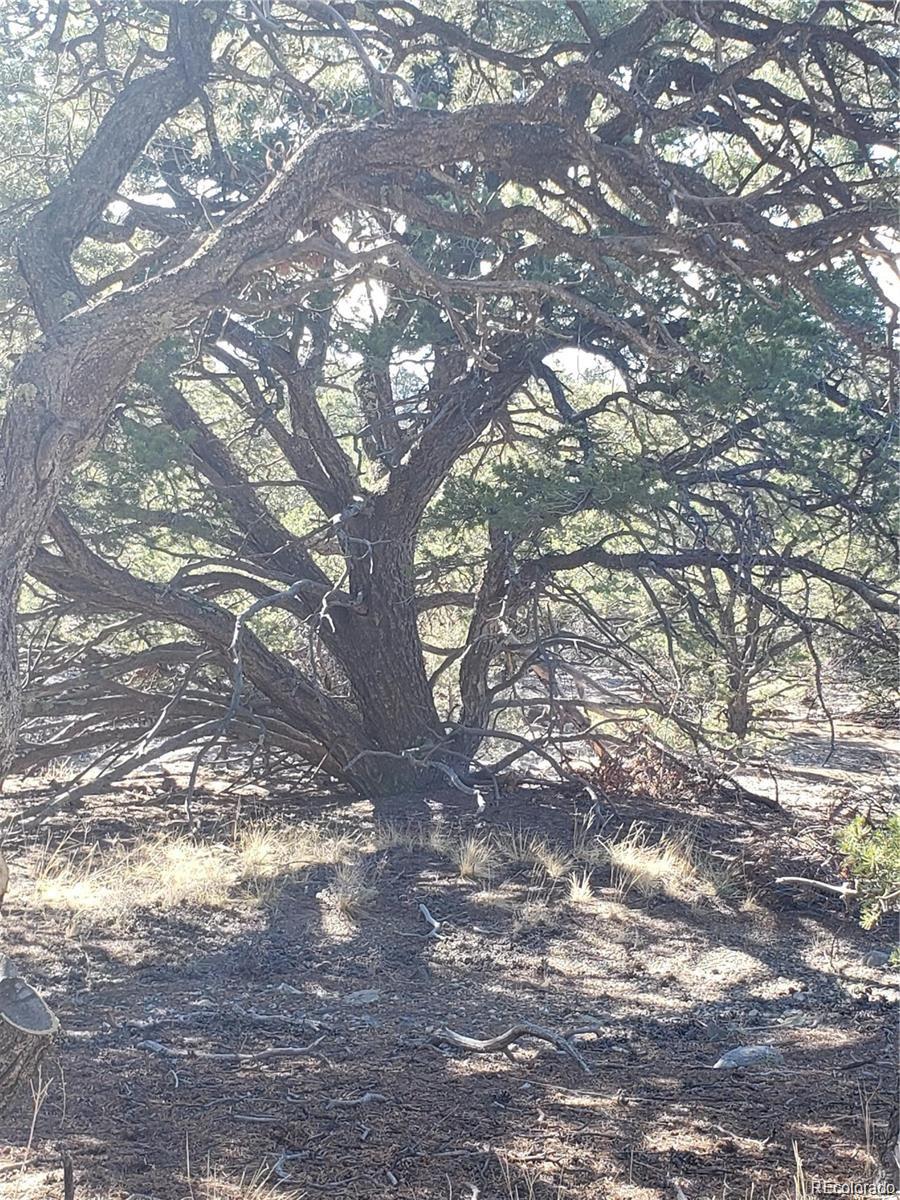 146/148 Lake Of The Falls Parkway