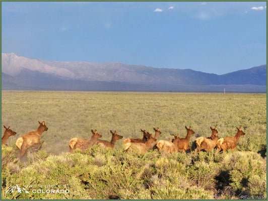 8287 2ND LN N, MOSCA, CO 81146 - Image 0c51f2eabd6cfca0959e6c4f5e1f4513/4159875188
