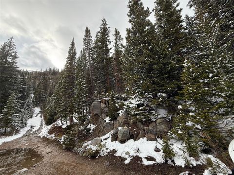 14 Mine Road Idaho Springs CO 80452