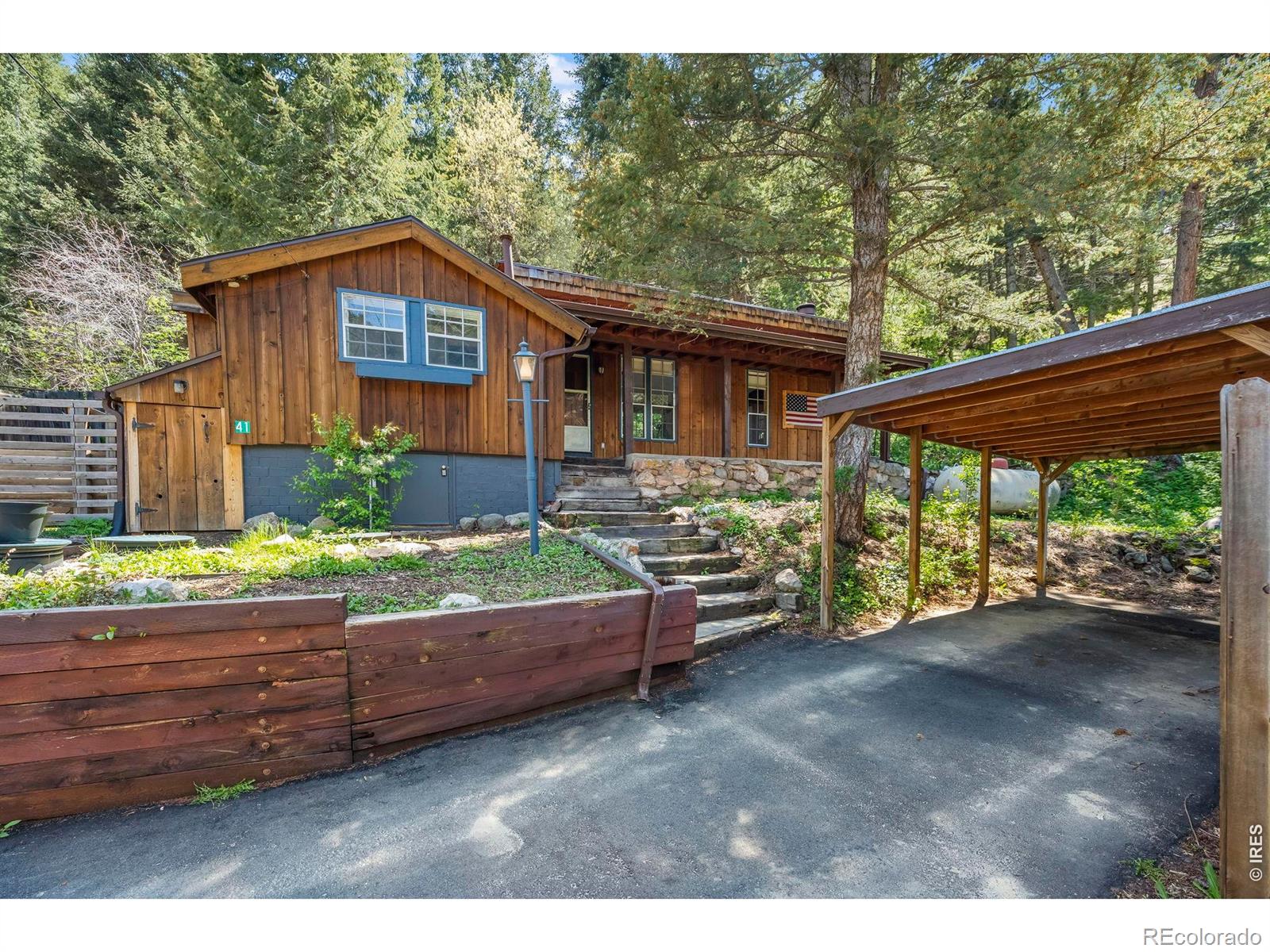 41 Silver Spruce