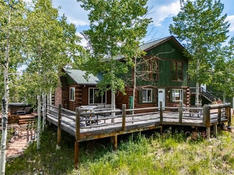 8774 Spring Drive Conifer CO 80433