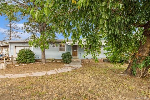 650 S Mckinley Avenue, Fort Lupton, CO 80621 - #: 9508441