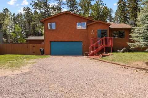 107 Circle Drive Avenue, Woodland Park, CO 80863 - #: 3252893