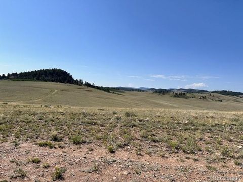 0000 Guipago Trail Hartsel CO 80449